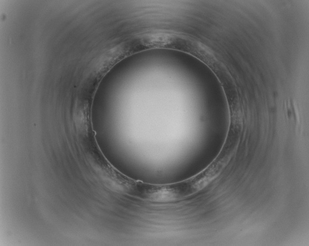 X0000071960460200607071457