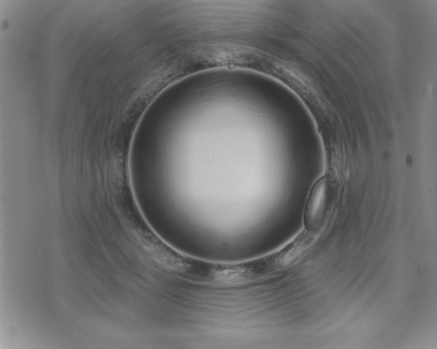 X0000071960461200607071457