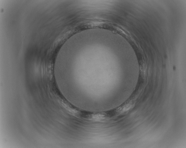 X0000071960462200607071457