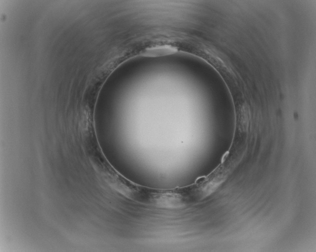 X0000071960463200607071457