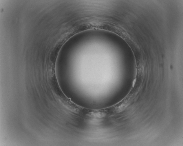 X0000071960464200607071457