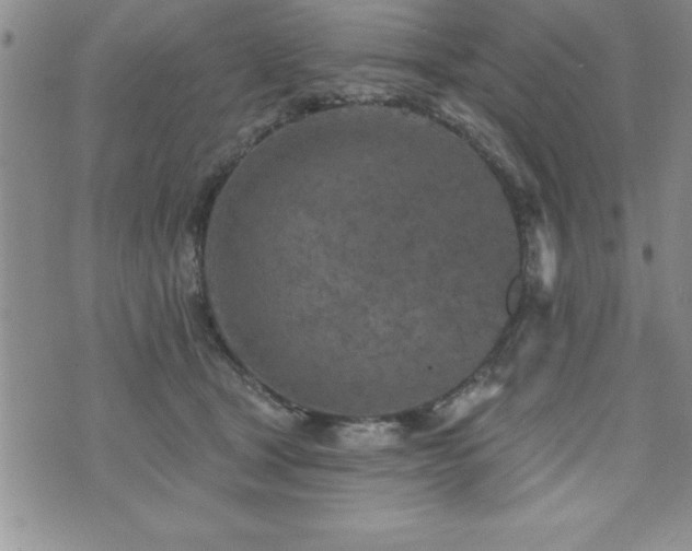 X0000071960465200607071457