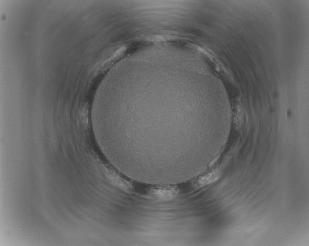 X0000071960466200607071457