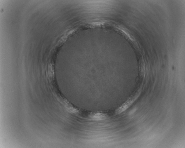 X0000071960467200607071457