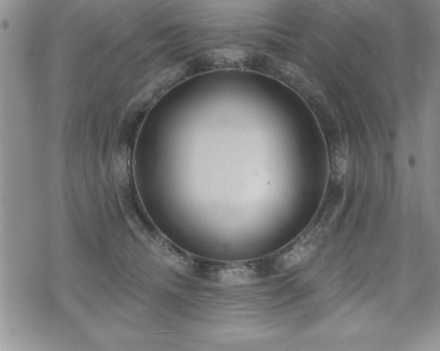 X0000071960468200607071457