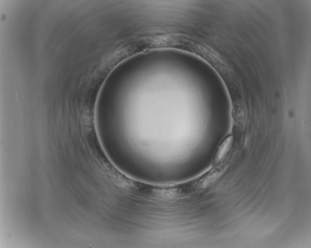 X0000071960469200607071457