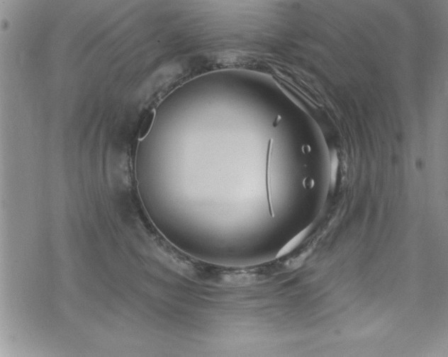 X0000071960470200607071457