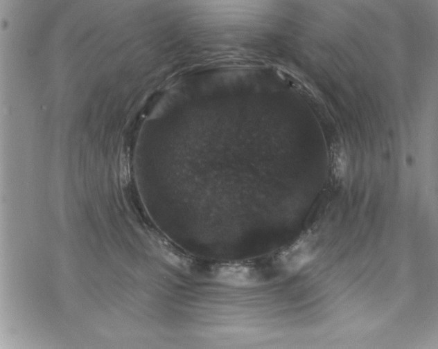 X0000071960471200607071457