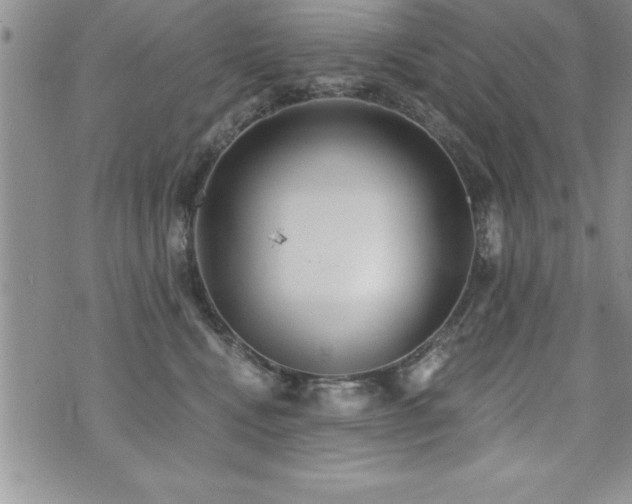 X0000071960472200607071457