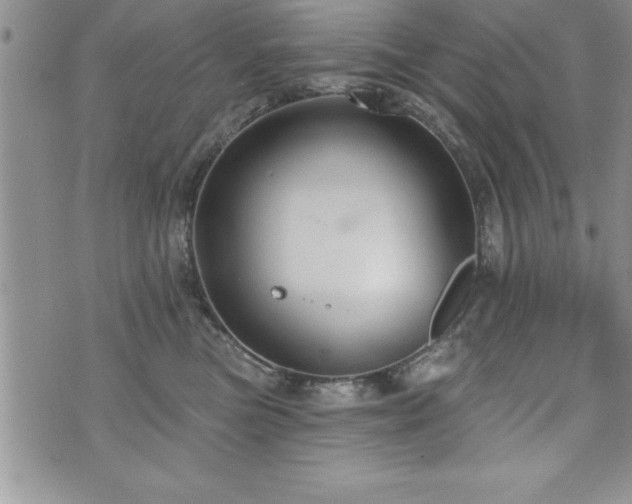 X0000071960473200607071457