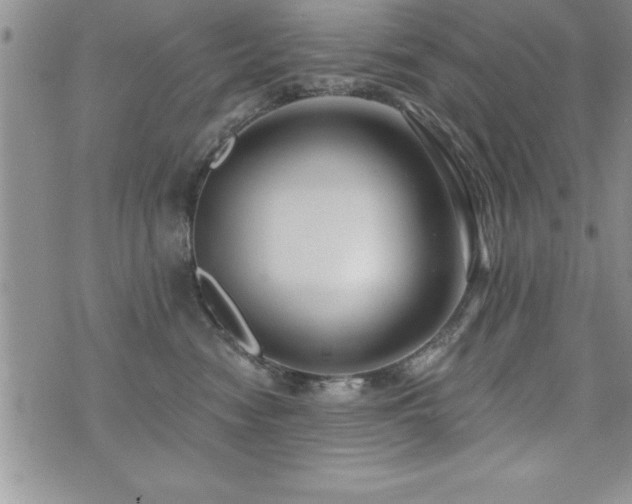 X0000071960474200607071457