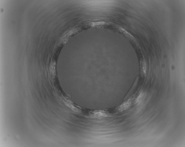 X0000071960475200607071457