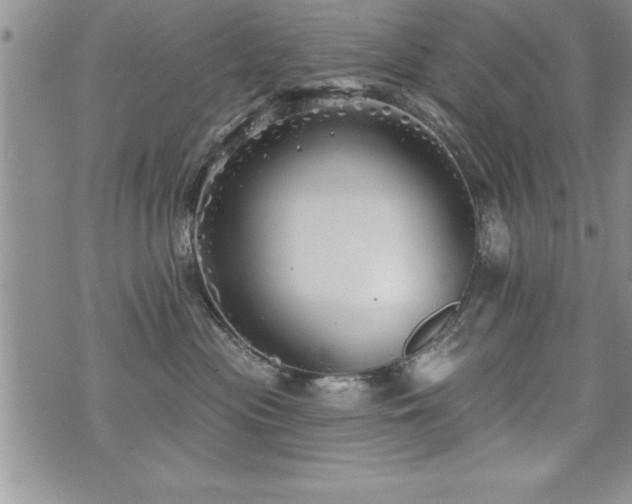 X0000071960477200607071457