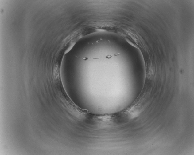 X0000071960478200607071457