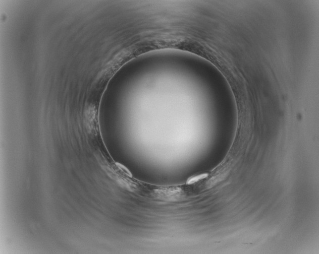 X0000071960480200607071457