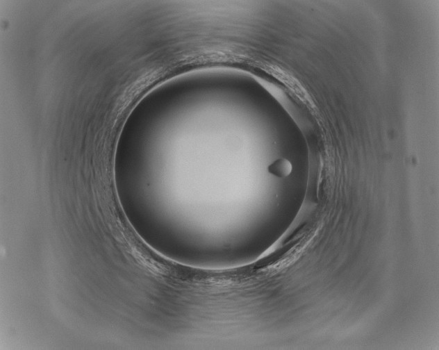 X0000071960481200607071456