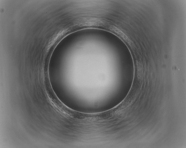 X0000071960482200607071456