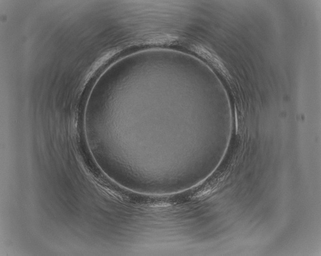 X0000071960483200607071456