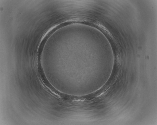 X0000071960484200607071456