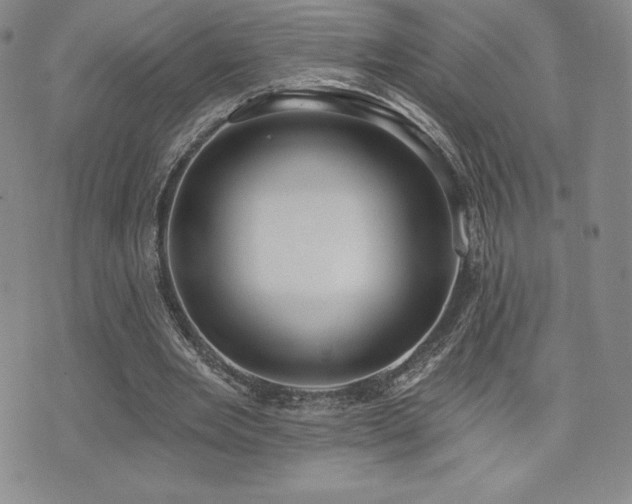 X0000071960485200607071456