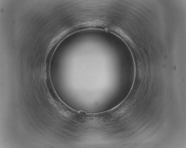 X0000071960486200607071456