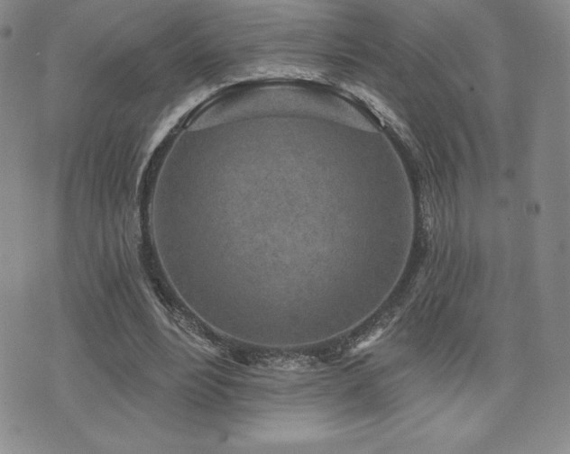 X0000071960488200607071456