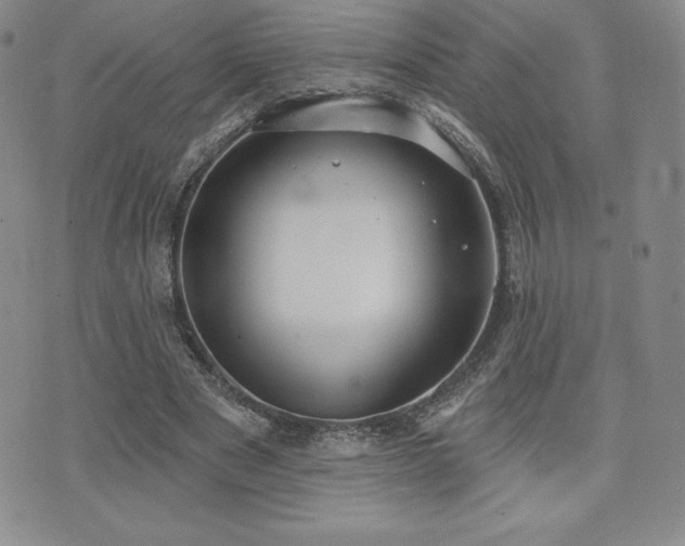 X0000071960489200607071456