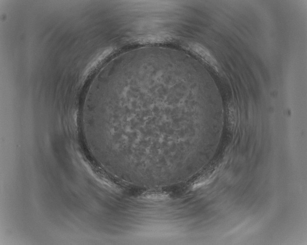 X0000071960491200607071456