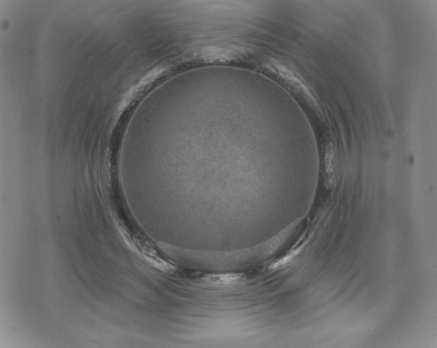 X0000071960492200607071456