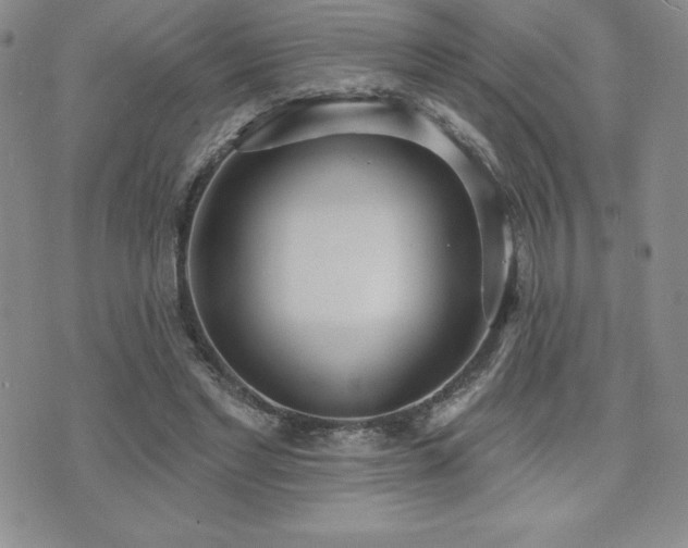 X0000071960493200607071456