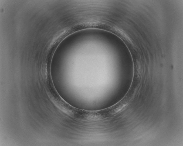 X0000071960494200607071456