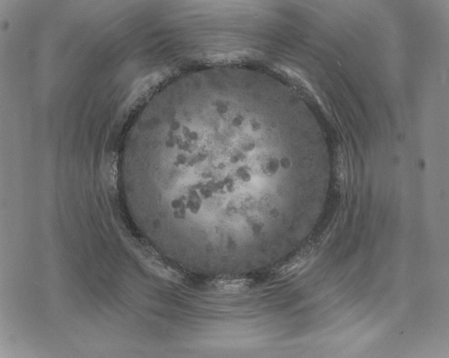 X0000071960495200607071456