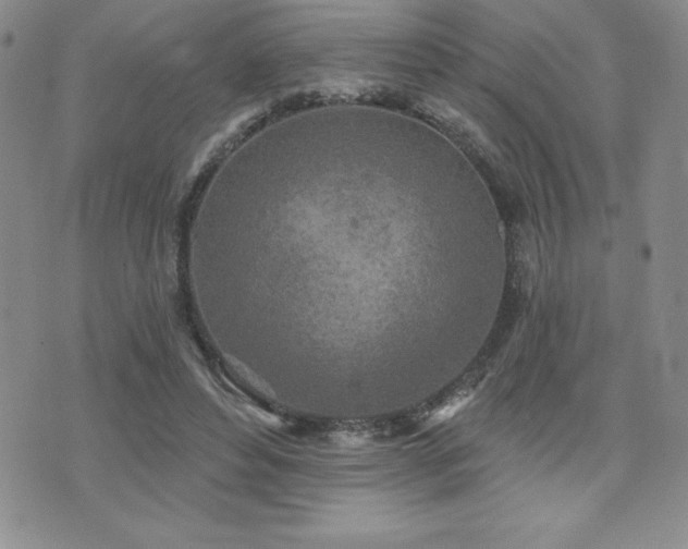 X0000071960496200607071456