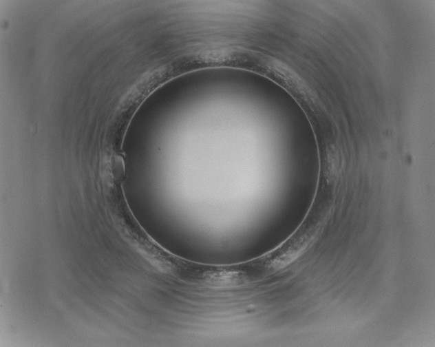 X0000071960497200607071456