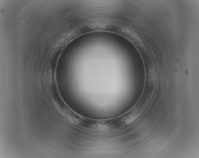 X0000071960498200607071456