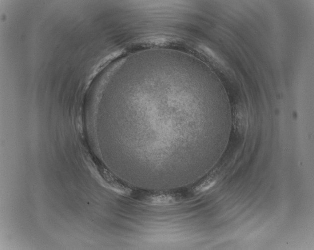 X0000071960500200607071456