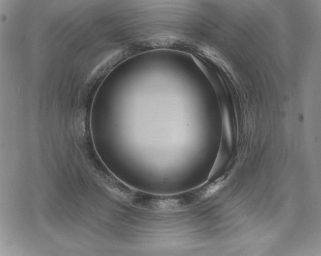 X0000071960501200607071456