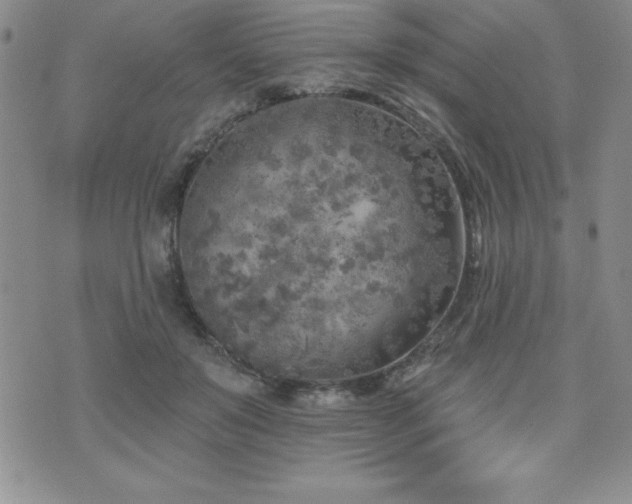 X0000071960503200607071456