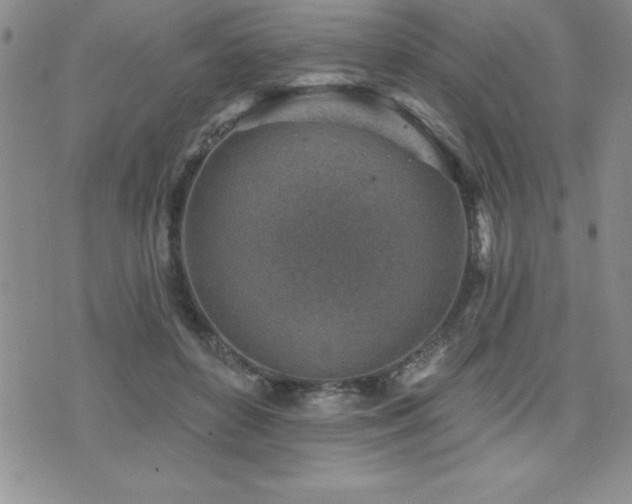 X0000071960504200607071456