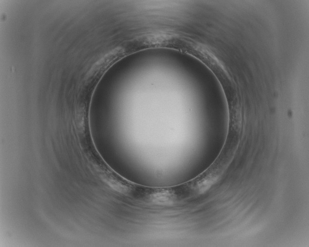 X0000071960505200607071456