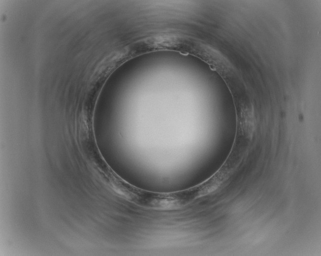 X0000071960506200607071456