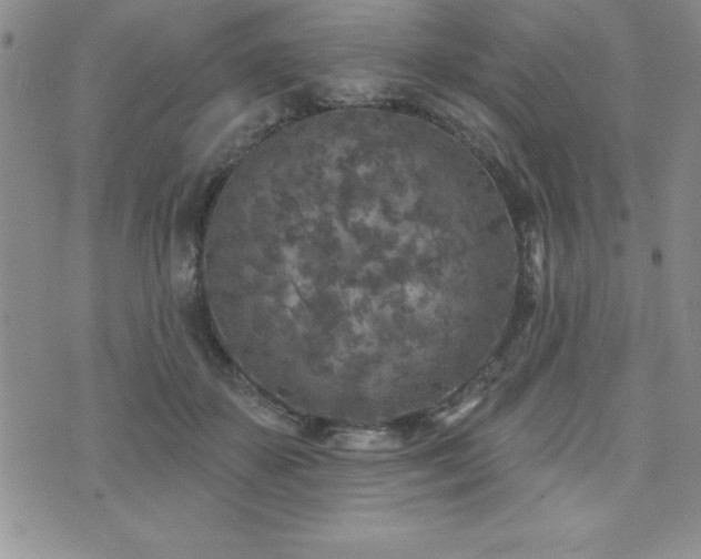 X0000071960507200607071456