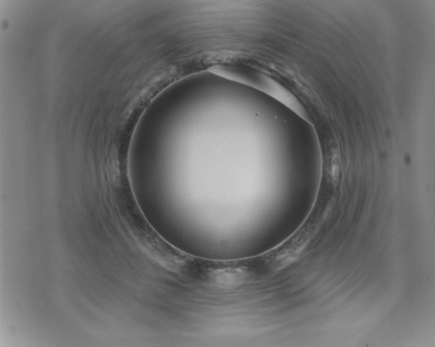 X0000071960508200607071456