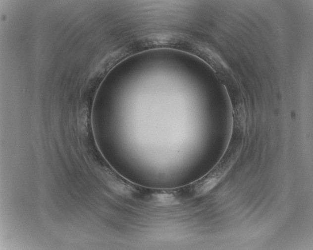 X0000071960509200607071456