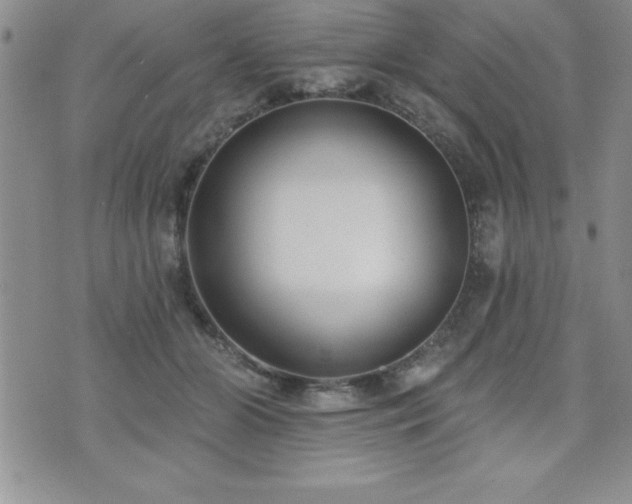 X0000071960510200607071456