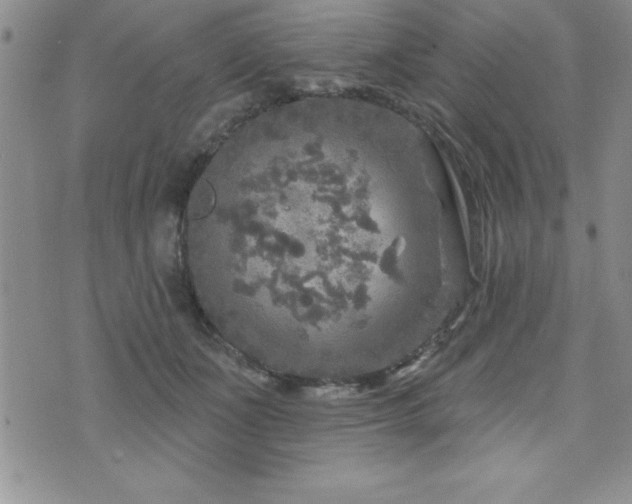 X0000071960511200607071456