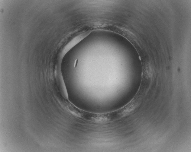 X0000071960512200607071456