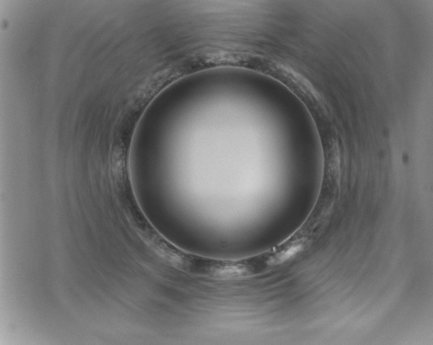 X0000071960513200607071456