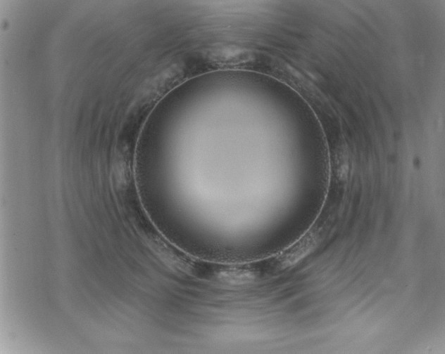 X0000071960515200607071456