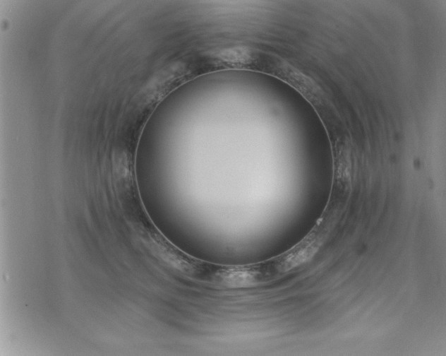 X0000071960518200607071456